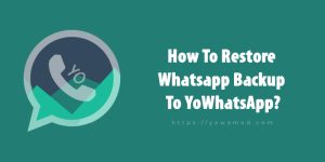 restore-whatsapp-backup-to-yowhatsapp